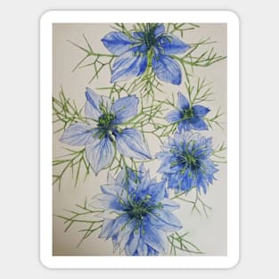 Blue cornflowers watercolor painting Sticker